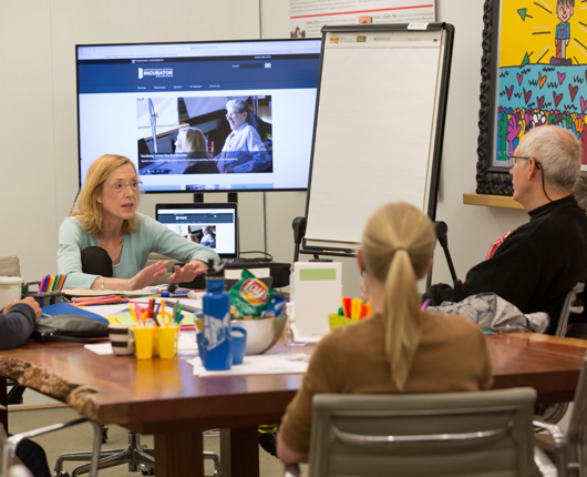 © Global Health Education and Learning Incubator at Harvard University 2016