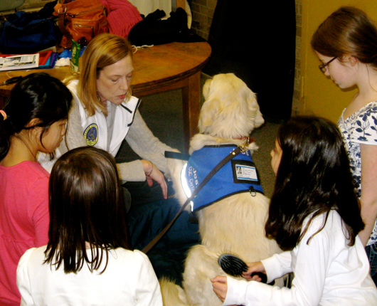 PS_Dog training programs schools3